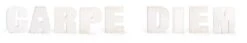 Carpe Diem