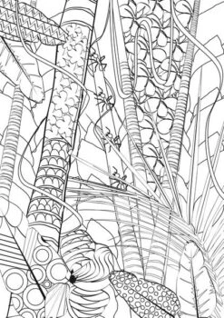 Info Notes IN-8722-08 Creative Kleurvel A5 Colour & Relax Voor Volwassenen -Speelgoed Kortingswinkel 4044355786215 8