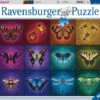 Ravensburger Puzzel 1000 Stukjes Gevleugelde Dieren -Speelgoed Kortingswinkel 519578