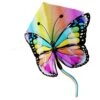 Kites Ready 2 Fly - Pop-up Nylon Vlieger Vlinder -Speelgoed Kortingswinkel 6090025b