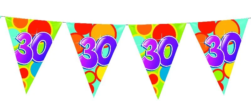 Vlaggenlijn 10 Meter 30 Jaar